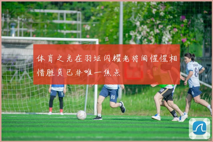 体育之光在羽坛闪耀老将间惺惺相惜胜负已非唯一焦点